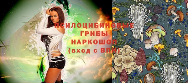 скорость Приозерск
