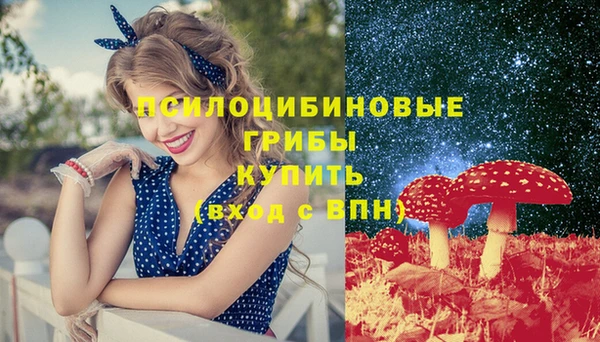 скорость Приозерск