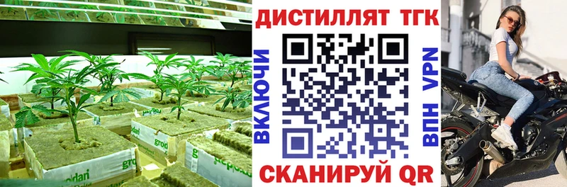 мега сайт  как найти   Болотное  ТГК концентрат 