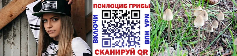 продажа наркотиков  Болотное  Псилоцибиновые грибы прущие грибы 