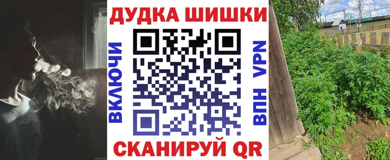 где найти наркотики  Болотное  Конопля OG Kush 